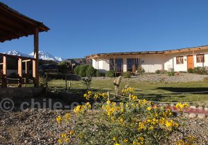 Terrace Lodge & Tours