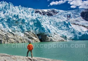 glacier-leones-puerto-guadal