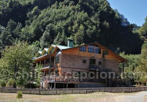 Mitico Puelo Tagua Tagua