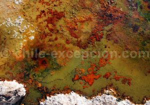 Gros plan sur geysers, Chili