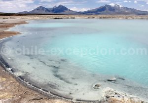 laguna-azul-salar-surire Thermes de Polloquere, Chili