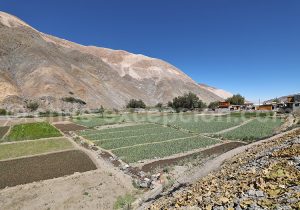 Paysage du Nord du Chili