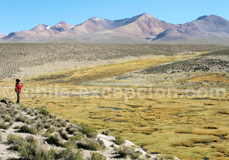 Parc Lauca, Nord Chili Parc Lauca, Nord Chili