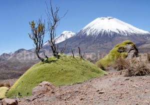 Voyage de luxe au Chili