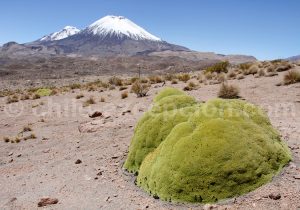 Voyage de luxe au Chili