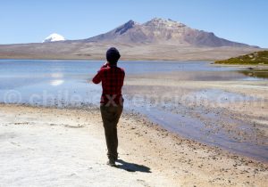 Lac Chungara, Parc Lauca