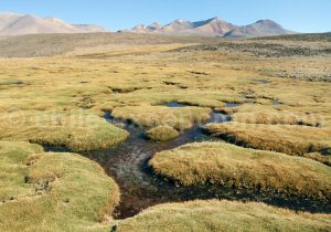 Parc National Lauca, Chili