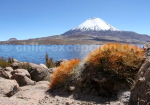 Volcan Lanin, Parc Lauca au Chili