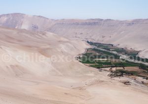 7-vallee-luta Vallée de Lluta, Chili