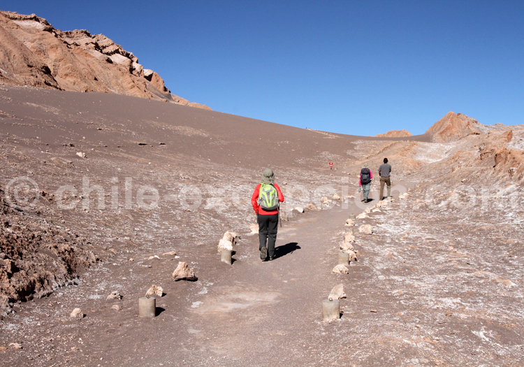 Vallée de la Lune, Chili Vallée de la Lune, Chili