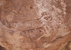 Archéologie de Yerbas Buenas