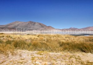 Talar, région d'Atacama
