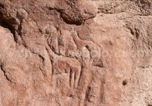 Lamas, Hierbas Buenas