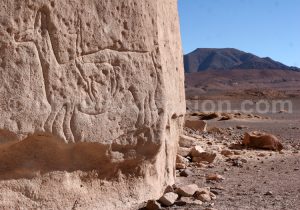 Représentation de camélidés, Hierbas Buenas