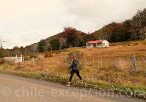 Balade en Terre de Feu