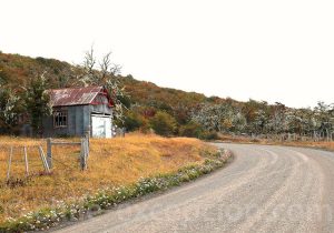 Route typique en Terre de feu chilienne