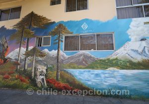 Lacs en peinture sur les murs du quartier Yungay, Chili avec l'agence de voyage Chile Excepción