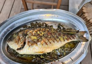 Poisson grillé du Pacifique