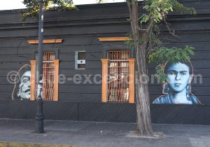 Les artistes chiliens aiment s'inspirer et représenter des personnalités connues comme Dali et Frida.