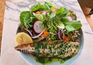 Espadon a la plancha, restaurant Circular