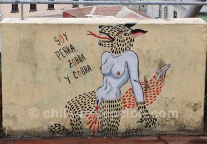 36-CADRER-LA-LOUVE- Street art politique des rues de Valparaiso