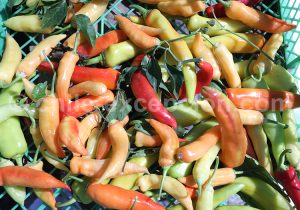 Paradis des fruits et légumes au Chili