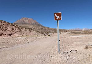 Observation de la faune aviaire le long des routes