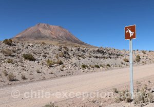 Routes culturelles du nord