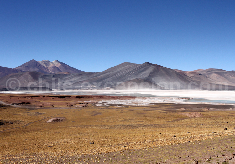 Salar de Talar, Atacama