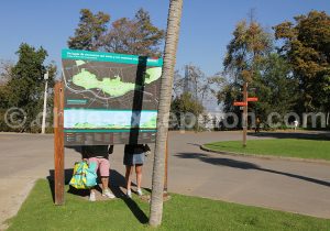 Parque Metropolitano, Santiago du Chili