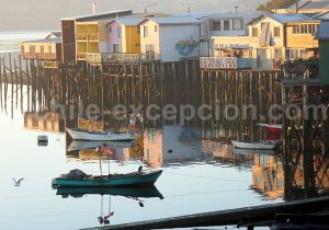 6-chiloe