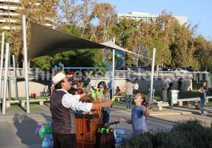 archand de bulles, pars Araucano