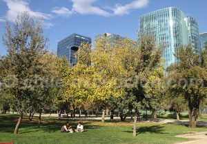 Se détendre dans le Parc Araucano, Santiago de Chile