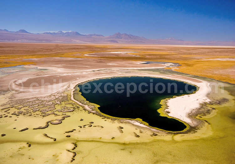 Voyage autotour San Pedro de Atacama Voyage autotour San Pedro de Atacama