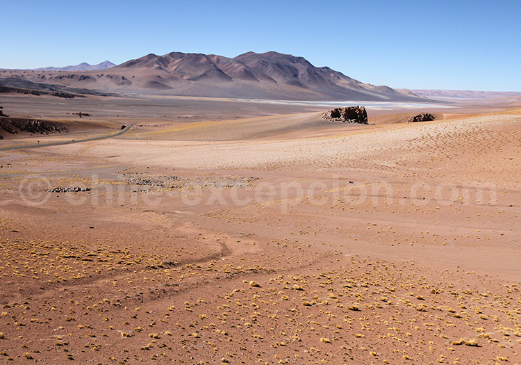 Visite exclusive, Monjes de la Pacana, Chili Visite exclusive, Monjes de la Pacana, Chili