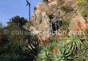 Cerro Santa Lucia, quartier Lastarria