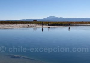Lagune Piedra, San Pedro de Atacama