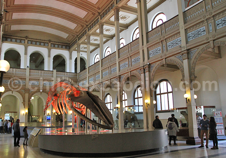 Musée de Sciences Naturelles de Santiago Musée de Sciences Naturelles de Santiago