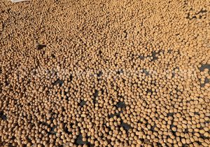 Textures et contextures chiliennes