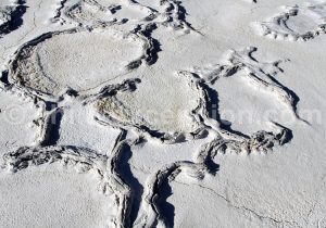 Textures et contextures chiliennes