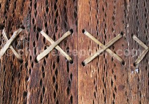 Textures et contextures chiliennes