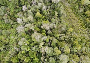 17-parcs-nationaux-de-Puerto-Montt-et-le-Cap-Horn parcs nationaux de Puerto Montt et le Cap Horn
