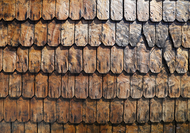 Matières du Sud Chili Matières du Sud Chili