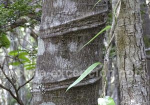 53-les-cicatrices-du-temps Les cicatrices du temps