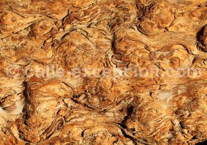 Textures et contextures chiliennes