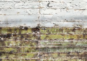 Textures et contextures chiliennes