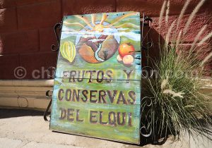 3-11 Le nord Chili dans tous ses éclats