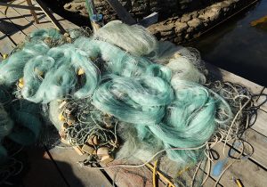 Pigment, pastel et gouache du Sud Chili