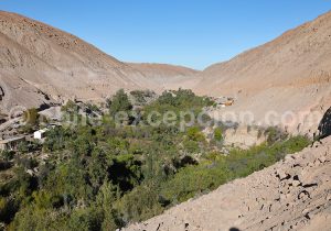 Découvrir Codpa au Nord du Chili