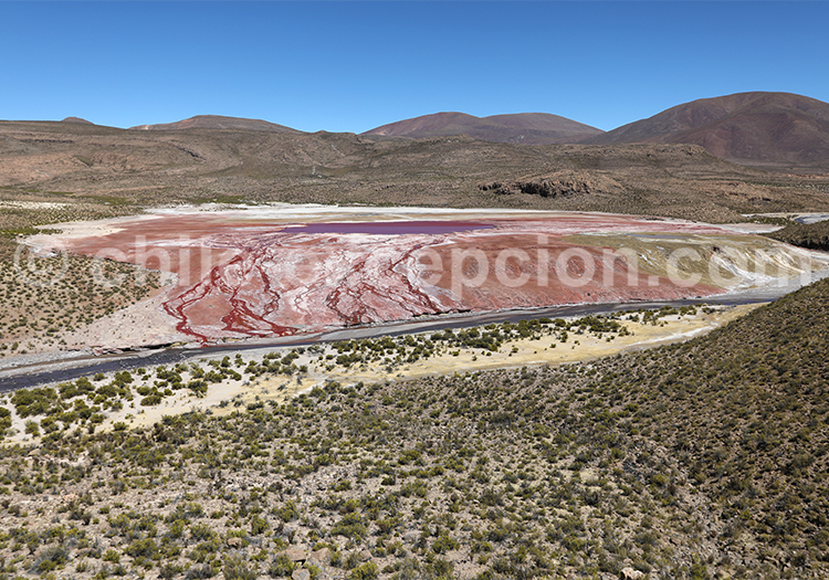 Laguna Roja, Iquique, Arica et Parinacota Laguna Roja, Iquique, Arica et Parinacota